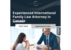 Experienced International Family Law Attorney in Canada - Spunt & Carin