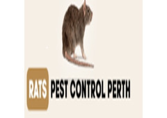 Rat Pest Control Perth