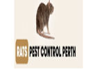 Rat Pest Control Perth