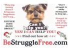 No Recruiting - Free To Join