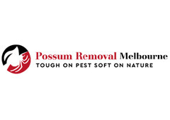 Possum Pest Control Melbourne