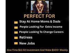 Agent Needed-Get Paid To Help Small Business Owners