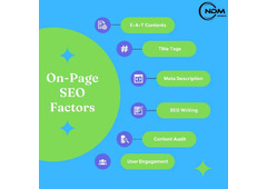 Top SEO Agency in Delhi NCR