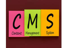 CMS Development Services in Ahmedabad