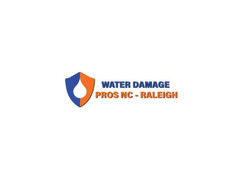 the Water Damage Pros Raleigh nc