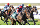 Learn All Horse Racing Bet Types Easily