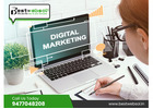 Dominate Search Results with Professional SEO Services